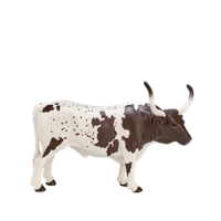 Mojo farmland texas longhorn stier 387222 - thumbnail