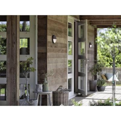 Philips Led buitenlampCapricorn met sensor - 164569316