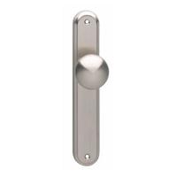 Intersteel Knop op blind schild nikkel mat - thumbnail