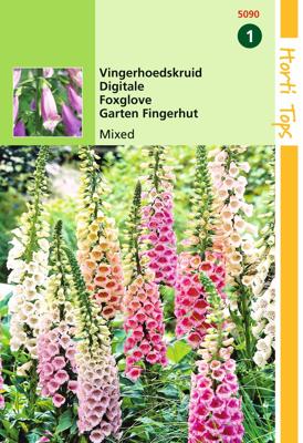 Zaden Digitalis Vingerhoedskruid gemengd Hortitops - Hortitops