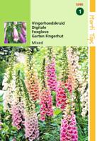Zaden Digitalis Vingerhoedskruid gemengd Hortitops - Hortitops - thumbnail