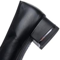 Ara 1211838 - alle - thumbnail