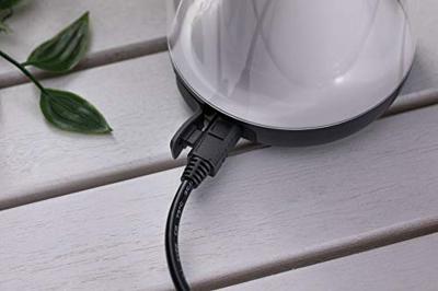 Paulmann 94267 LED-tafellamp voor buiten 1.3 W Warmwit Transparant, Antraciet