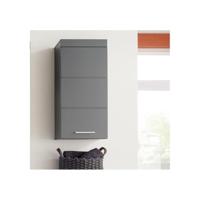 AMANDA hoge badkamerkast - 1 deur - Grijs - TRENDTEAM - thumbnail