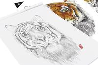 Kangaro K-5330 Tekenblok A4 200 Gr 20 Vel Wit Fijne Korrel Kopgelijmd - thumbnail