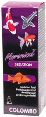 Verdoving 20 Ml vijver Colombo - Colombo