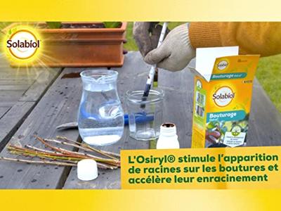 Kunstmest voor planten Solabiol Soboutu40 Osyril 40 ml