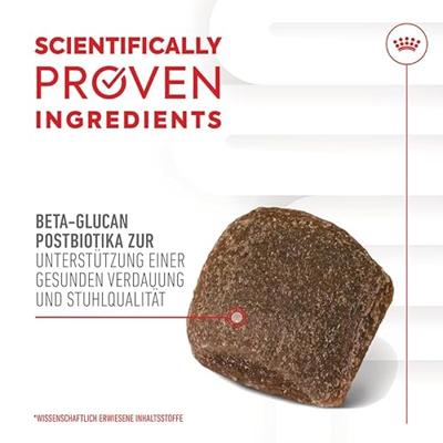 Royal Canin Digestion Chews voedingssupplement hond 6 x 160 g - thumbnail