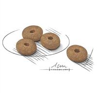 Royal Canin Mini Light Weight Care hondenvoer 3 kg - thumbnail