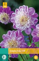 Dahlia Take off - thumbnail