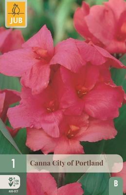 Canna city of Portland