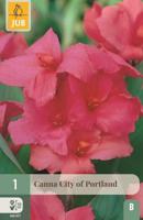 Canna city of Portland - thumbnail