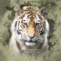 Afbeelding op acrylglas - Siberische tijger portret - thumbnail