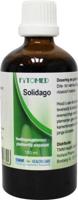 Fytomed Solidago bio 100 Milliliter - thumbnail