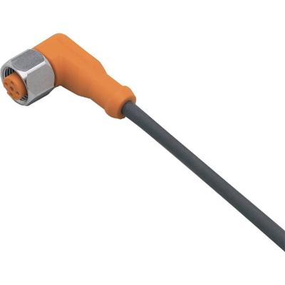 ifm Electronic EVM004 Aansluitkabel Aantal polen (sensoren): 5 Bus, haaks 2 m 1 stuk(s)