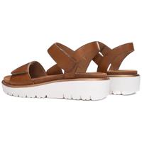 Ara 1233518 - alle - thumbnail