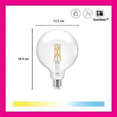 WiZ Globe Filament - Slimme LED-Verlichting - Warm- tot Koelwit Licht…