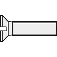 TOOLCRAFT 830415 Verzonken schroeven M2.5 20 mm Sleuf DIN 963 Kunststof, Polyamide 10 stuk(s) - thumbnail