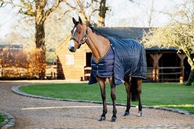 LeMieux Arika Liner 100g donkerblauw maat:148 / 6'6 LeMieux Arika Liner 100g donkerblauw maat:148 / 6'6