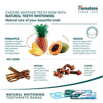 Himalaya Tandpasta Active White