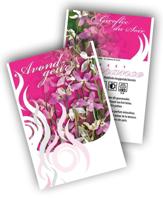 Cadeau premium Matthiola (100 zakjes) - thumbnail