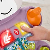 Educatief Spel Fisher-Price - thumbnail