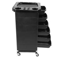 Streepjesbast esdoorn - thumbnail