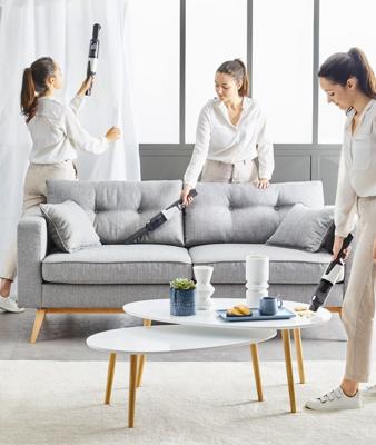 Rowenta AC9736 Kruimelzuiger Grijs