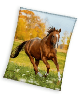 Sweet Home fleeceplaid Paard meerkleurig 150x200cm - thumbnail