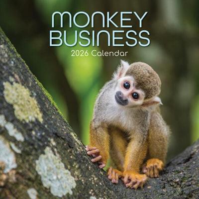 Monkey Business Kalender 2026 Monkey Business Kalender 2026