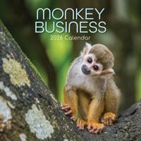 Monkey Business Kalender 2026 - thumbnail