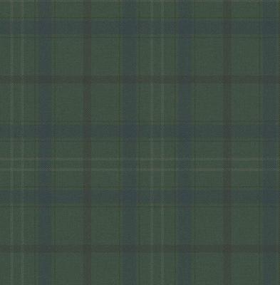 Dutch Wallcoverings Sauvage Ruit - Groen/Blauw