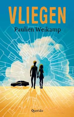 Vliegen - Paulien Weikamp - ebook
