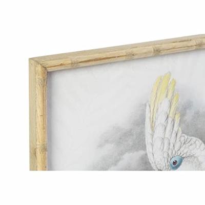 Schilderij DKD Home Decor 50 x 2,8 x 70 cm Koloniaal Papegaai (2 Stuks)