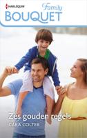 Zes gouden regels - Cara Colter - ebook - thumbnail