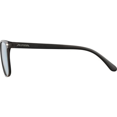 Alpina Yefe - Sunglasses