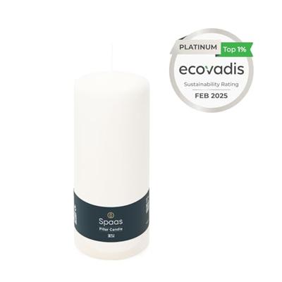 Cylinder d8h20 cm wit Spaas - Spaas