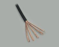 BKL Electronic 1106006 Audiokabel 2 x 0.1 mm² Zwart per meter - thumbnail