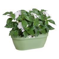 Elho Wandpot vibia campana bas 35cm Groen - thumbnail