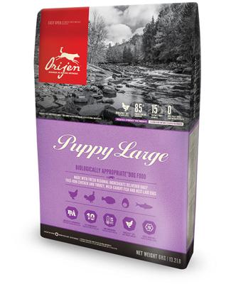 Orijen whole prey puppy large breed