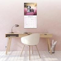 Bearded Collie Kalender 2026 - thumbnail