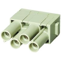 HARTING Busmodule 09140043141 Inhoud: 1 stuk(s) - thumbnail