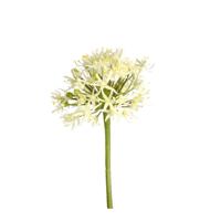 Allium Kunstbloem 61cm Creme - thumbnail