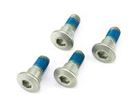 TRW bouten set screw set 4pcs. m8x1,25 - thumbnail