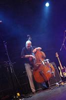 Electro-Voice RE20 dynamische zang- en instrumentmicrofoon - thumbnail