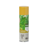 Pokon Bladglans Kamerplant 250ml - thumbnail