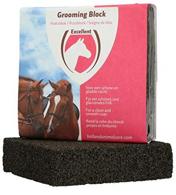Excellent Grooming block Paard