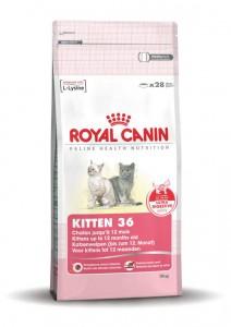 Royal Canin Kitten kattenvoer 2 x 4 kg