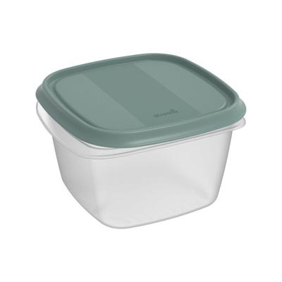 Rotho ELEMENTS Koelkast Bewaardoos 16x16x10 cm 1.3L Mistletoe Groen/Transparant Rotho ELEMENTS Koelkast Bewaardoos 16x16x10 cm 1.3L Mistletoe Groen/Transparant