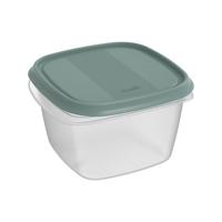 Rotho ELEMENTS Koelkast Bewaardoos 16x16x10 cm 1.3L Mistletoe Groen/Transparant - thumbnail